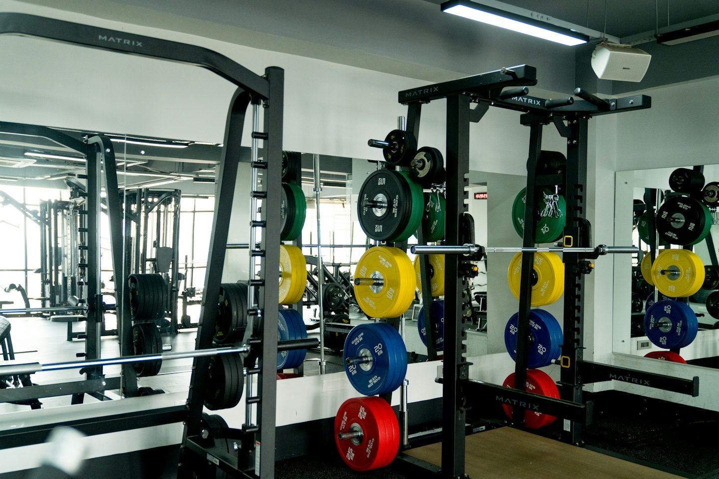 Modern gym interior featuring weight racks and colorful plates on rubber flooring.